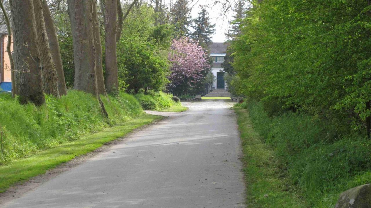 Ferienhausvermietung Thomsen-Detlefs Fehmarn Exterior foto
